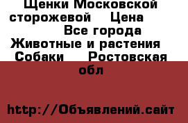 Щенки Московской сторожевой  › Цена ­ 25 000 - Все города Животные и растения » Собаки   . Ростовская обл.